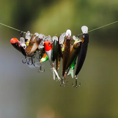 fishing lures