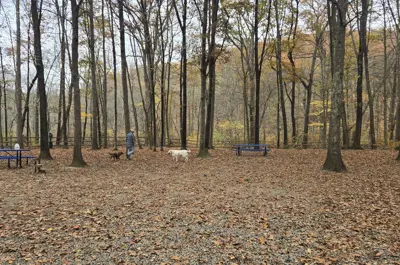 Sylvan Glen Paw Park