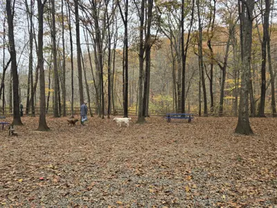 Sylvan Glen Paw Park