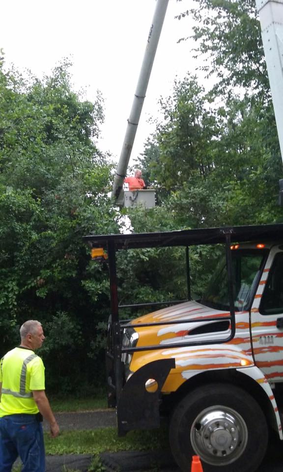 tree trimming worker