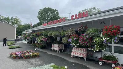 The Meadows Farm Market