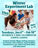 Winter Experiment Lab Flyer