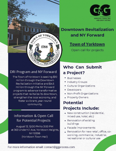 Downtown Revitalization and NY Forward Open Call for Projects