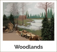 Woodlands
