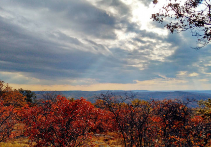Turkey Mountain