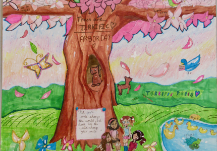 Arbor Day 2019 Winner