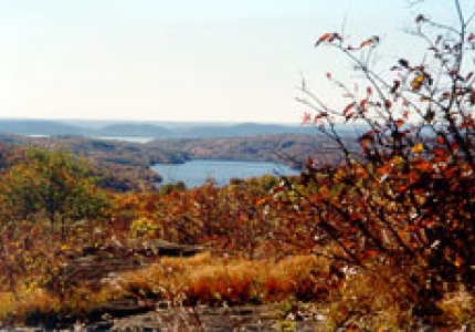 Turkey Mountain Nature Preserve