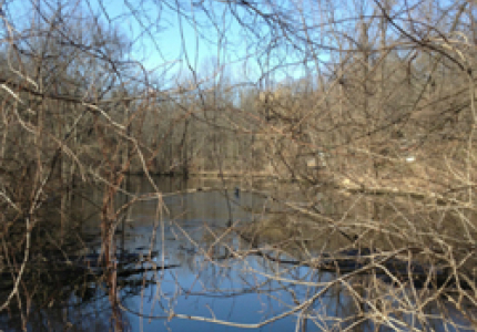 Sylvan Glen Park Preserve