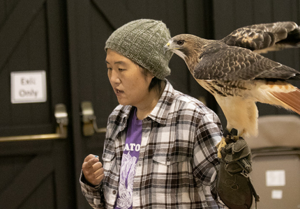 Teatown Birds of Prey
