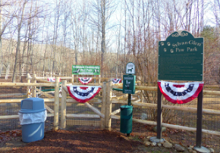 Paw Park