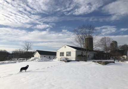 Hilltop Hanover Farm