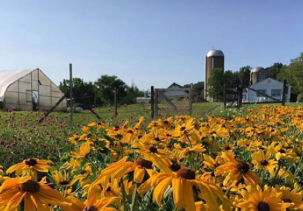 Hilltop Hanover Farm