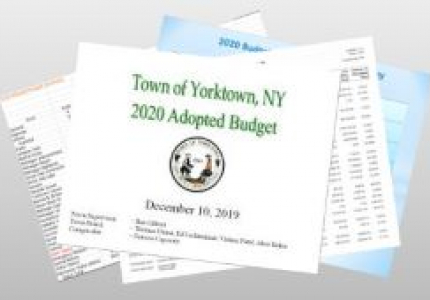 2020 ADOPTED BUDGET