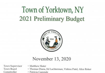 2021 PRELIMINARY BUDGET