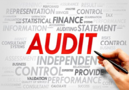 AUDIT REPORTS