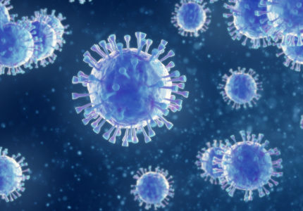 Coronavirus Updates