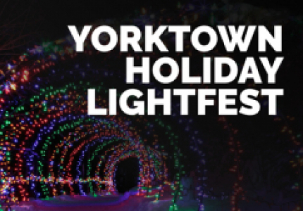 Lightfest