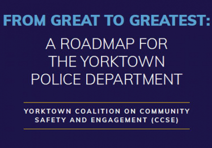 Police Review Report