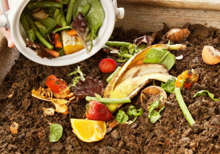 Food Scraps