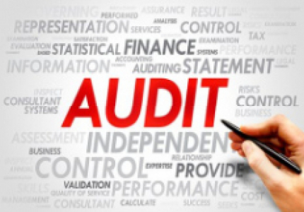 Yorktown 2020 Audit