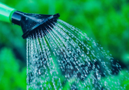 Yorktown Under Water Conservation Order
