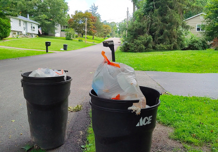 Uncollected Garbage