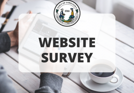 Town Website Survey