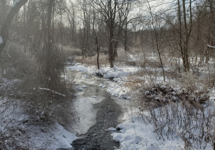 Hunter Brook