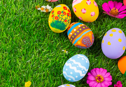 Egg Hunt Image by jcomp on Freepik