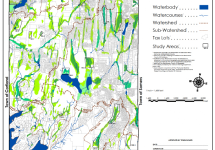 Freshwater Wetlands Functional Assessment Study