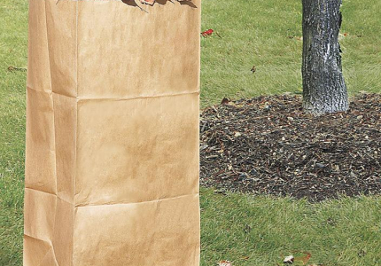 2020 Leaf Bag Collection Schedule