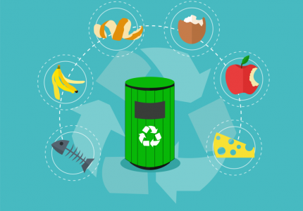 Food Scrap Image