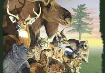 Conservation Licenses