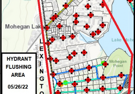 05/26/22 FLUSHING AREA