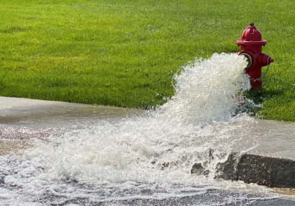 Spring Flushing 2023