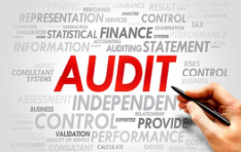 AUDIT REPORTS