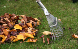 Organic Yard Waste & Leaves