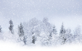 Storm Updates