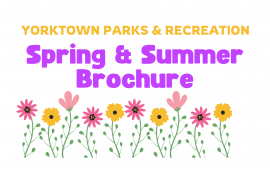 Spring/Summer Brochure