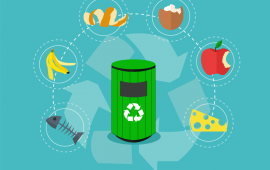 Food Scrap Image