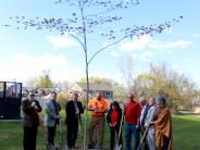 Town Officials Plant Tree in Memory of Lorraine DeSisto