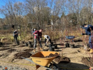 Tree Nursery