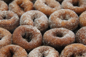 Cider Donuts - Wilkens Farm