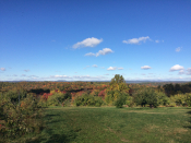 Fall Foliage - Wilkens Farm
