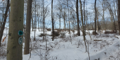 Hunter Brook Preserve Trails