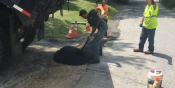 Paving