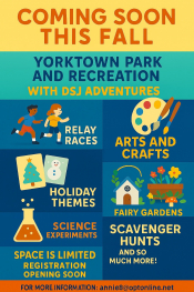 DSJ Adventures
