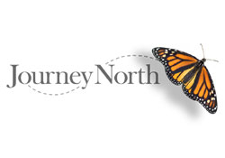 The Journey North