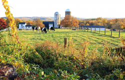 Hilltop Hanover Farm