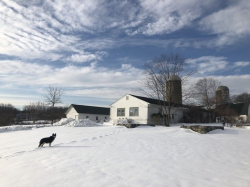 Hilltop Hanover Farm